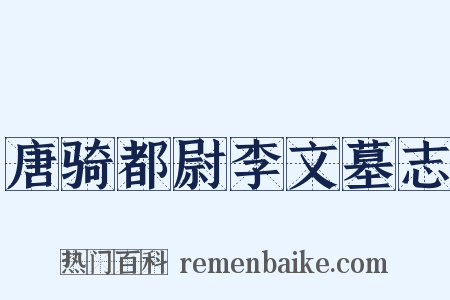 唐骑都尉李文墓志是什么意思的图片